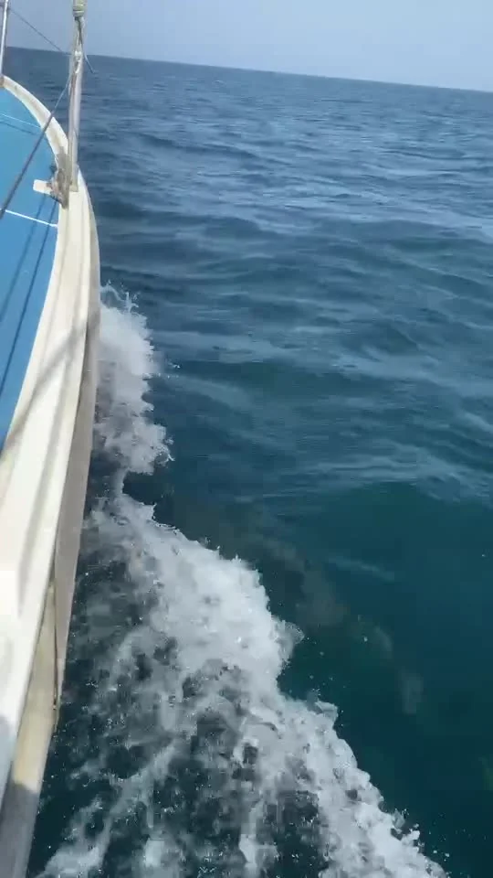 The sea from a yacht during the trip from Batumi to Poti